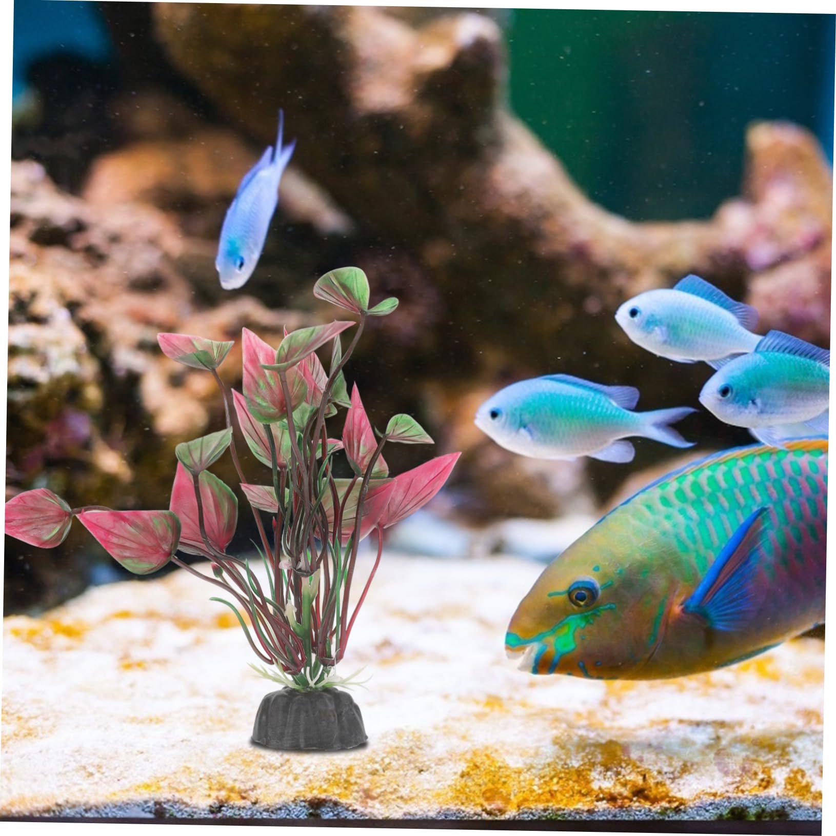 Sosoport 30stücke Künstliche Wasserpflanzen Für Aquarien Lebensechte Dekoration Für Fischbecken Und Teiche Nicht Verblassend Und Weiche Materialien Sichere Umgebung Für Fische