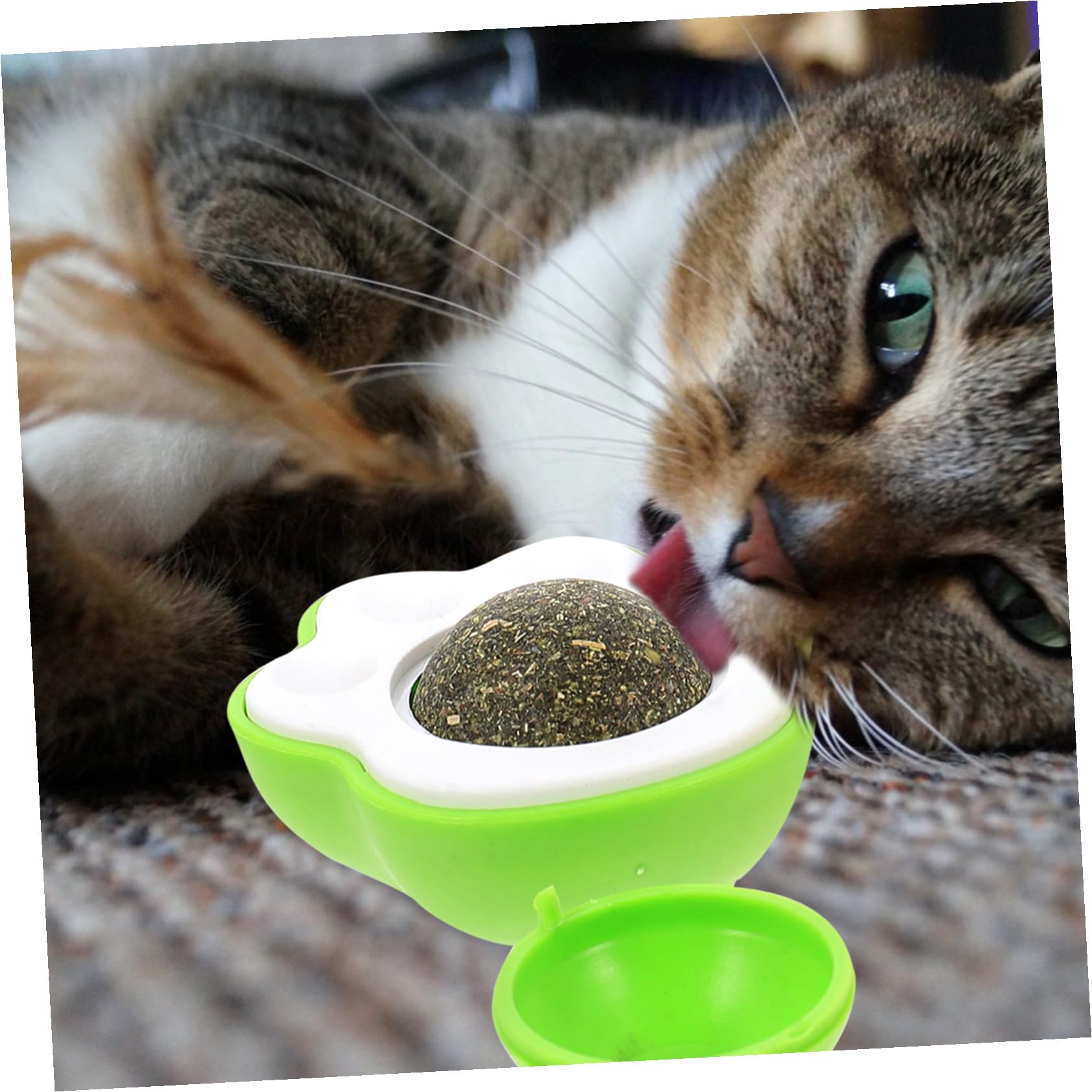 Beaupretty 10 Juegos Gatera Pellizcos Gato Lamiendo Juguete Cuidado Dental Gato Golosinas De Pared para Gatos Juguete para Masticar Gatito Giratorio Gato De Interior El Plastico