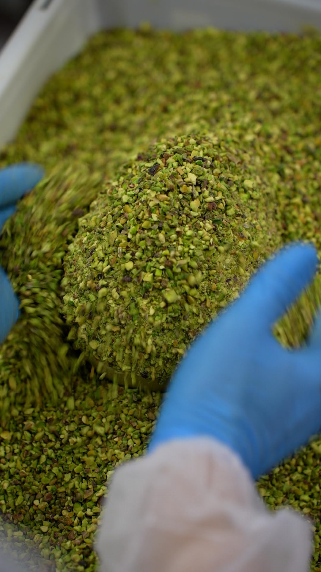 Uovo Di Pasqua al pistacchio con sorpresa all'interno in elagente scatola regalo. Realizzato con pregiato cioccolato senza l'utilizzo di surrogato. Prodotto di qualità