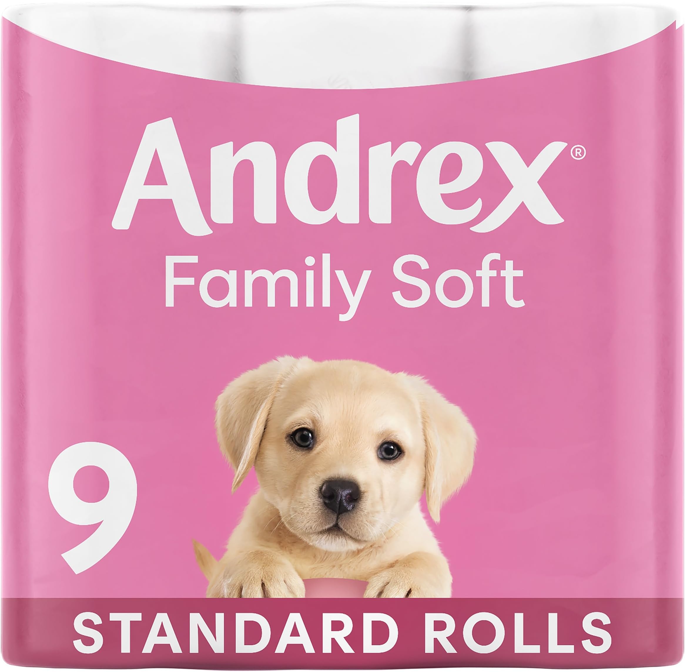 Andrex Family Soft Toilet Rolls - 9 Toilet Roll Pack - Bulk Buy Toilet Paper - Gentle and Soft on Your Family's Skin - Dermatologically Tested