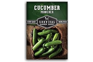 Muncher Cucumber Seed for Planting | Non-GMO Heirloom Variety Mini Cucumber