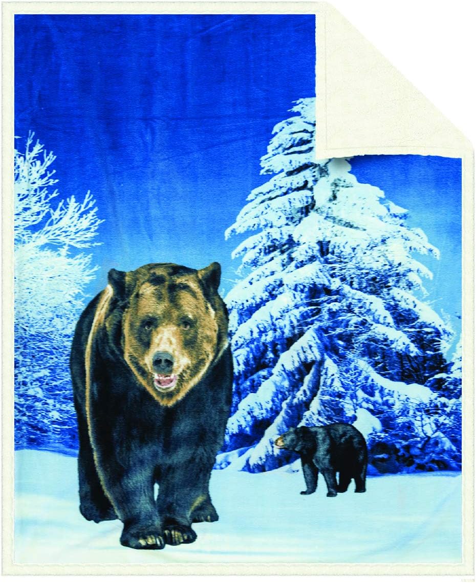 Fuzzy Fleece Sherpa Throw Blanket - Soft Poly Reversible Plush Blankets American Eagle Sublimation Print Immersive Imagery On Warm Comfy Fleece Blanket Throws For Bedding Couch Size 50" X 60"