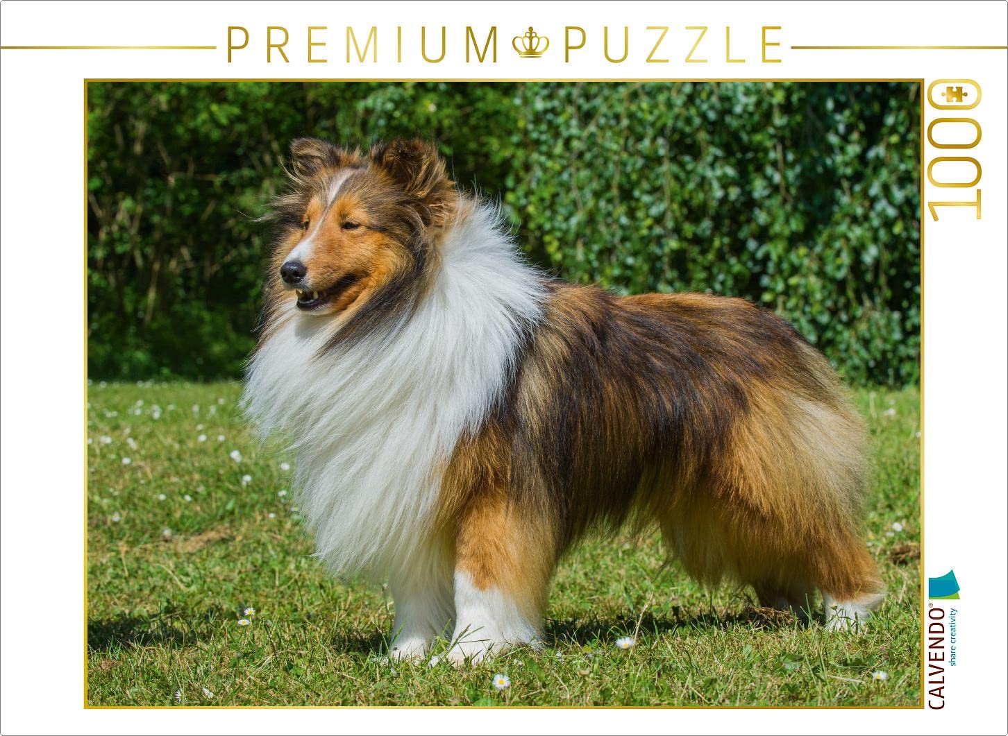 CALVENDO Puzzle Sheltie - Le rêve d'un Chien mâle 1000 Pieces 64 x 48 cm from Sista-Tierfoto