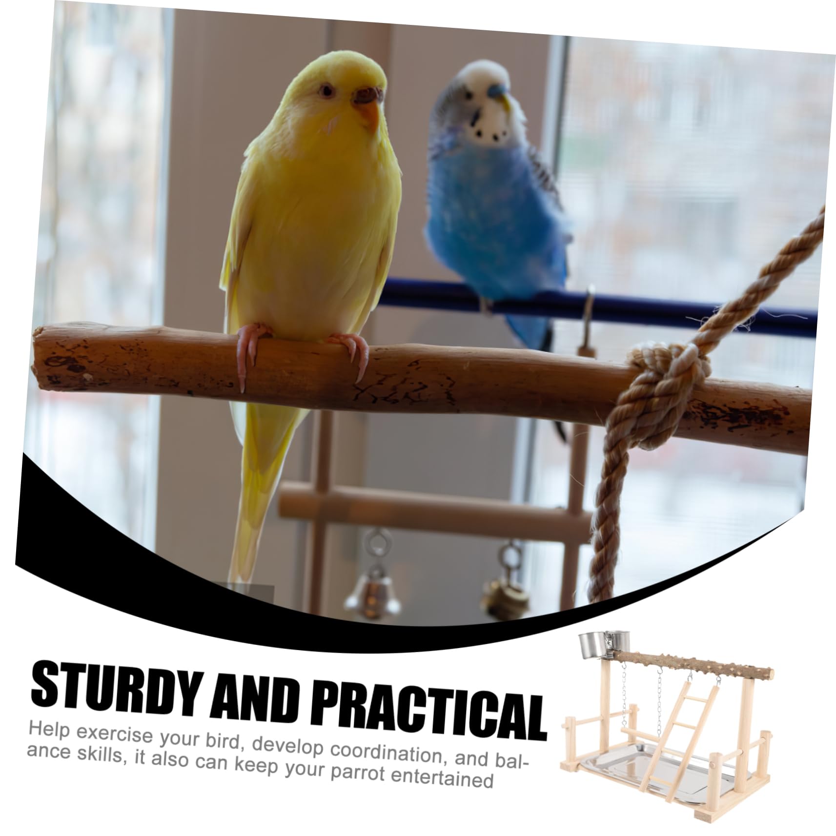 Beavorty Soporte de Madera para Loros Columpio, Taza Doble de Comida y Escalera, Plataforma de Percha para Aves Que Mejora Coordinación y Equilibrio