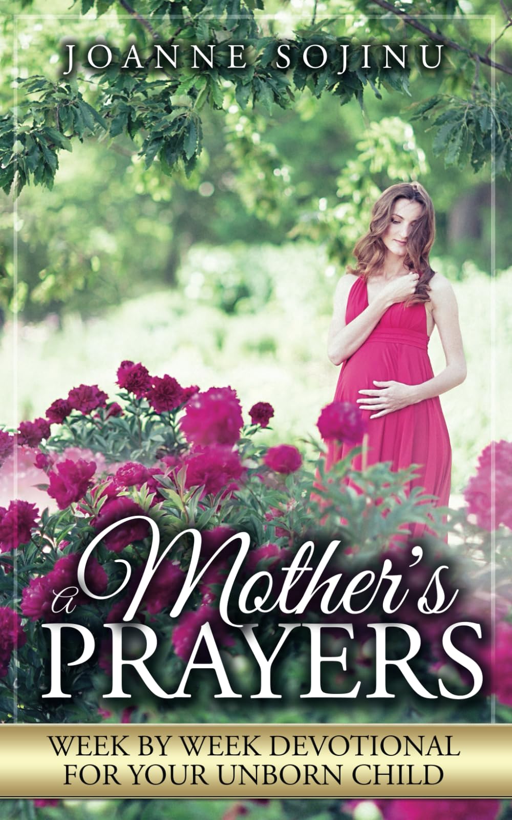 A Mother's Prayers: Week by Week Devotional for Your Unborn Child