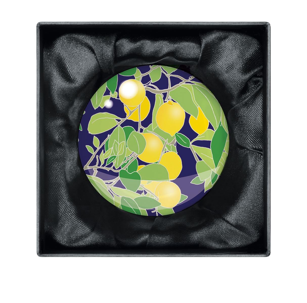 Emily Burningham Lemon Grove Crystal Dome Paperweight