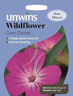 Unwins Pictorial Packet - Wildflower Corn Cockle - 80 Seeds
