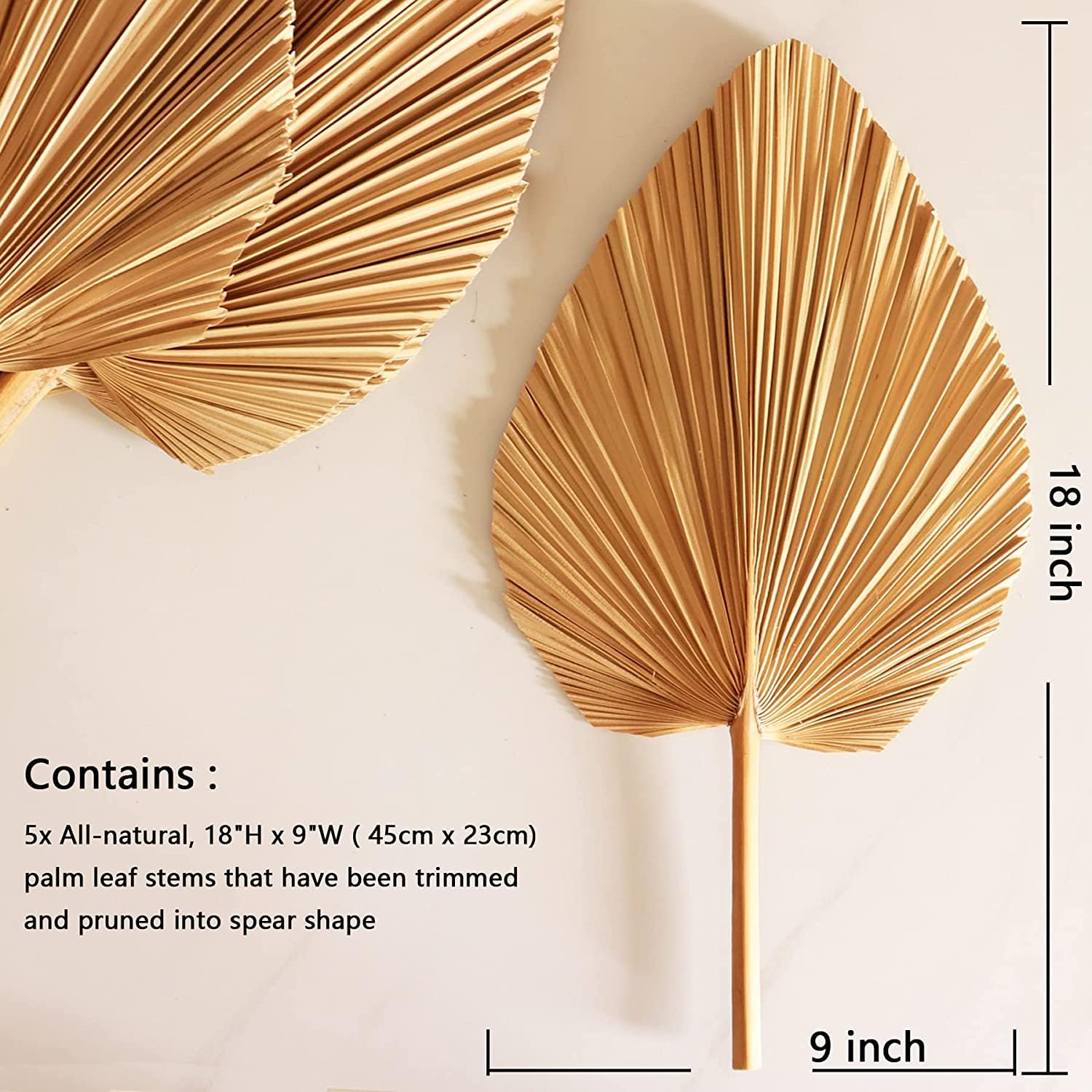 Getrocknete Palmblätter 5Pcs 18" große natürliche getrimmte Palme Speer Tropische Palmblätter Fans Boho Hochzeit Dekor Hawaiian Luau Party Urlaub Küche Tisch getrocknete Blumen Pampasgras Dekoration