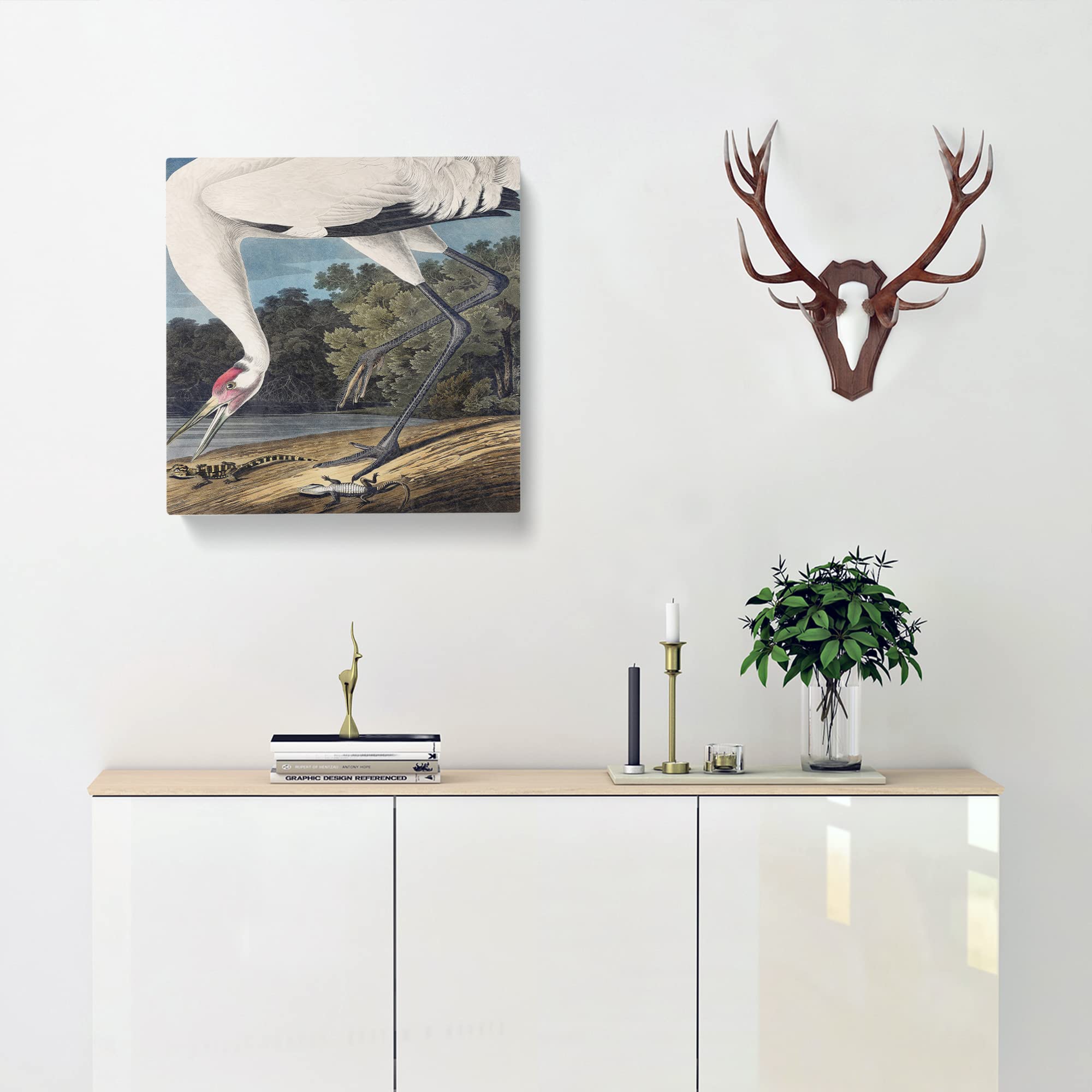 Hooping Crane Bird by John James Audubon Canvas Print, Mixed, 35L x 35W cm - Image 3