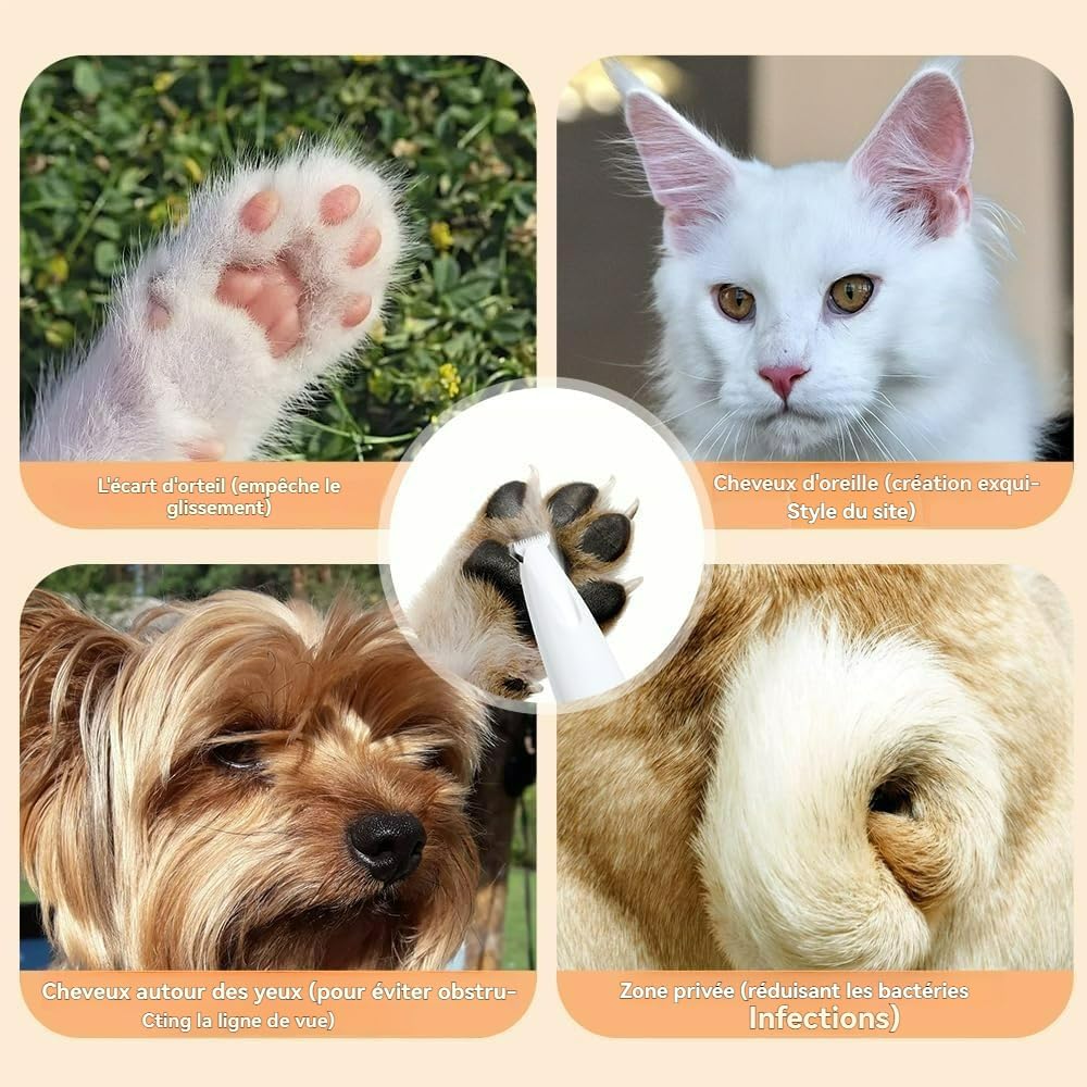 Patounet Tondeuse de Précision pour Chat, Tondeuse Patounet Chat, Tondeuse Chien Silencieuse avec des Lumières LED, Étanche IPX4, pour Pattes, Yeux, Oreilles, Visage et les Fesses (1 article)