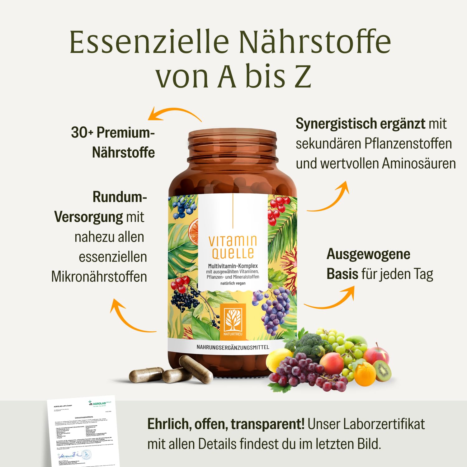 NATURTREU® All in One Multivitamin & Mineralien Komplex - 35 wertvolle A-Z Vitamine und Mineralstoffe - Multi Vitamin Kapseln hochdosiert - Vegan und ohne unnötige Zusatzstoffe