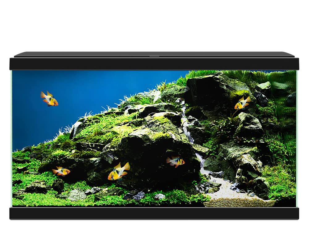 Ciano Acquario Aqua 60 Black LED