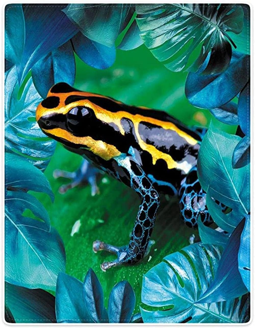 Amazon 大人の毛布カエル毛布 レインボーポイズンダートフロッグ 柔らかいふわふわフリースはベッドのために緑を投げます ブランケット 毛布 オンライン通販