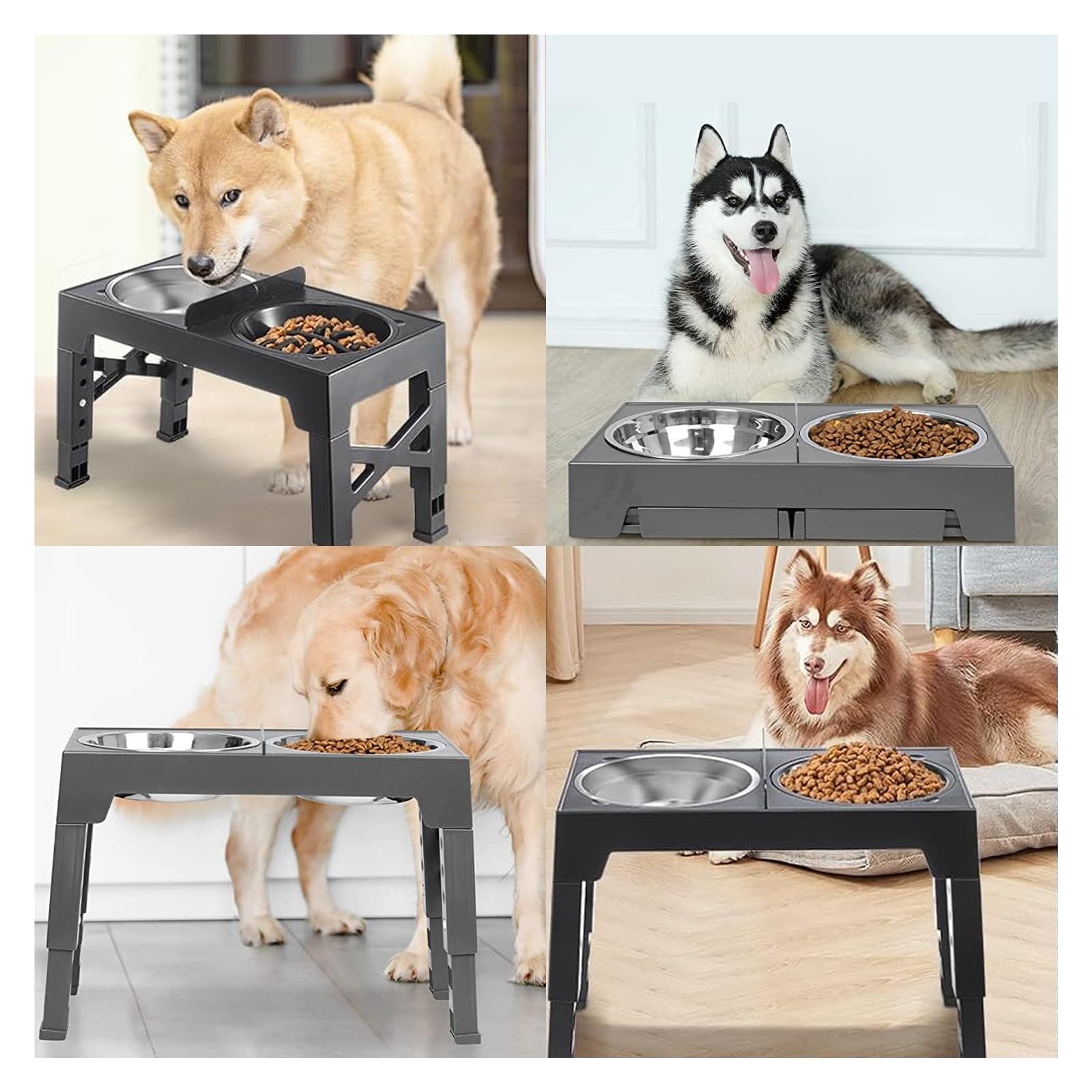 1 set di ciotole for cani rialzate pieghevoli regolabili, mangiatoia for animali rialzata in acciaio inossidabile(FR-Type A)
