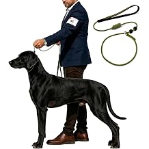 Dog Training Leash 4.6ft,Slip Leads for Dogs,Training Rope Designed specifically for Dog Training and competitions,No Pull Training Lead for Medium Large and Small Dogs