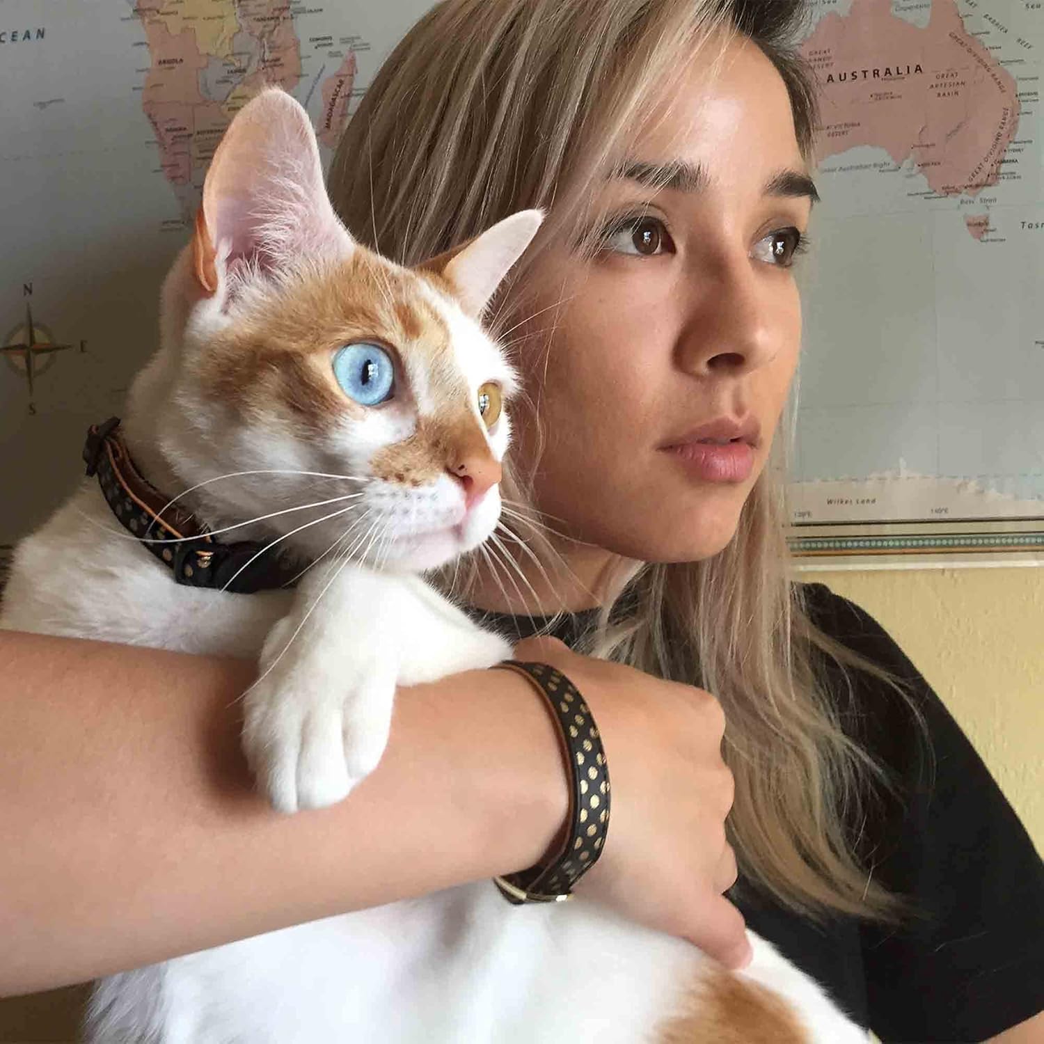 Friendship collar cat Outlet