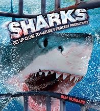 Sharks: Get Up Close to Nature’s Fiercest Predators (Y)