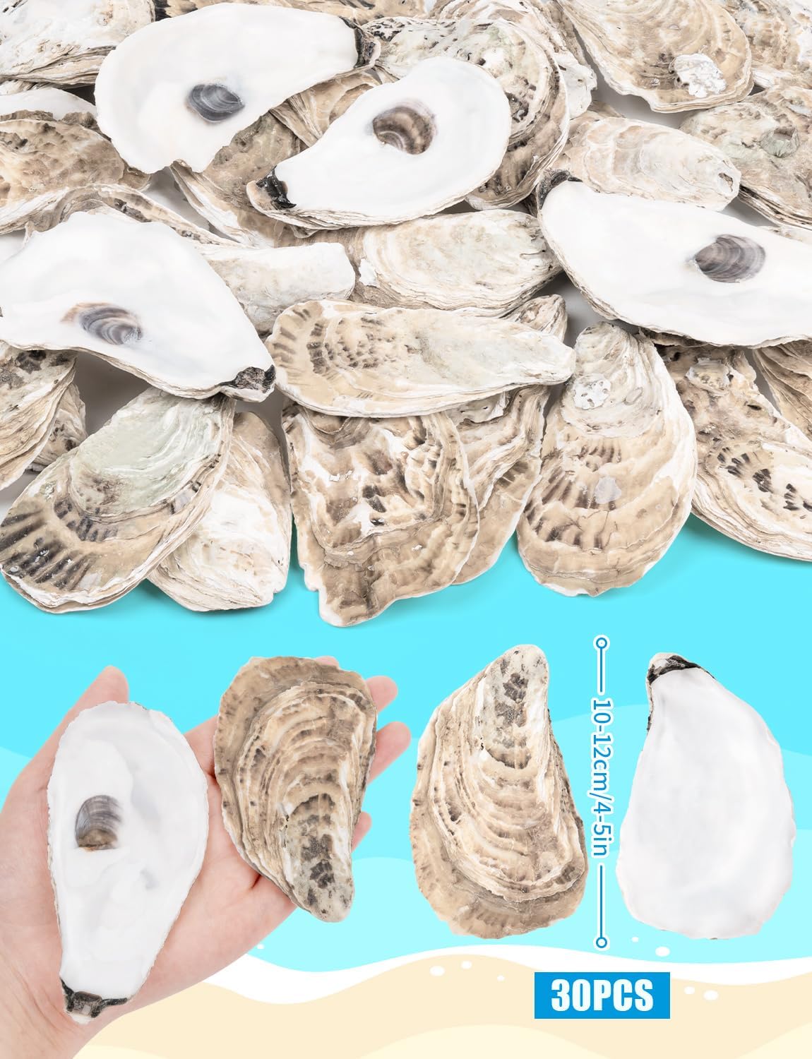 30 PCS Flat Oyster Shells 4-5” Natural Bulk Concave Oyster Shells for Crafts Home Vase Filler DIY Painting Theme Party Coastal Shell Art Supplies