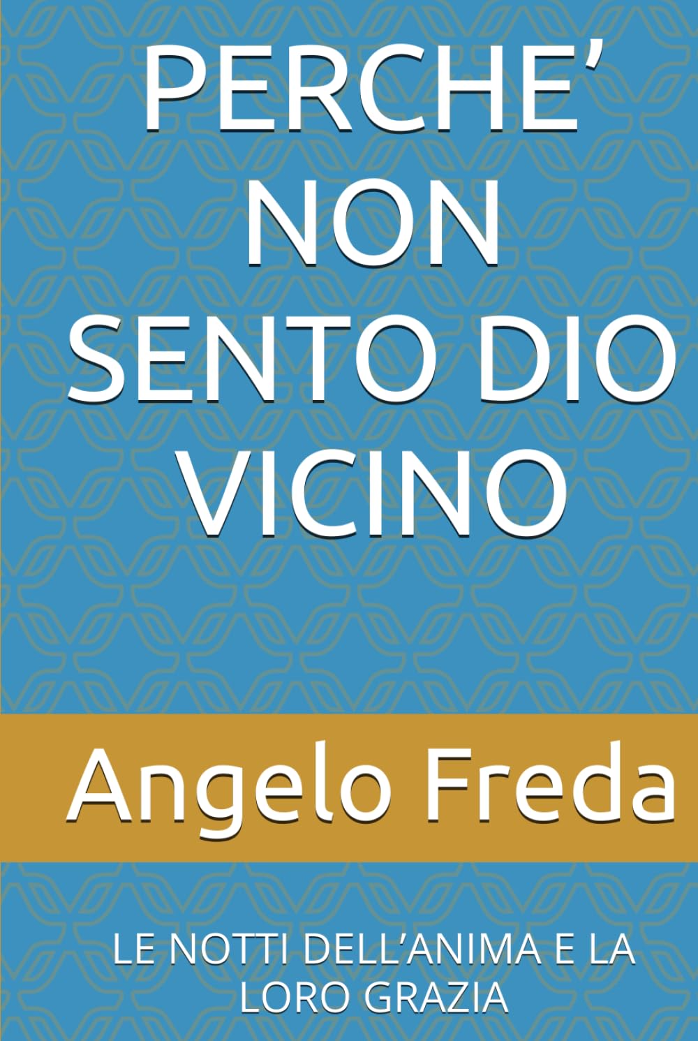PERCHE’ NON SENTO DIO VICINO: LE NOTTI DELL’ANIMA E LA LORO GRAZIA (IL LIBRO DEL PERCHE')