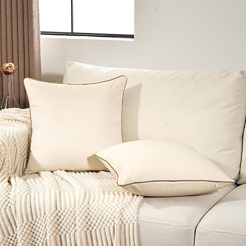Aeckself Paquete de 2 fundas de almohada cuadradas de terciopelo de lujo, fundas de almohada decorativas modernas, cómodas y suaves para sofá,
