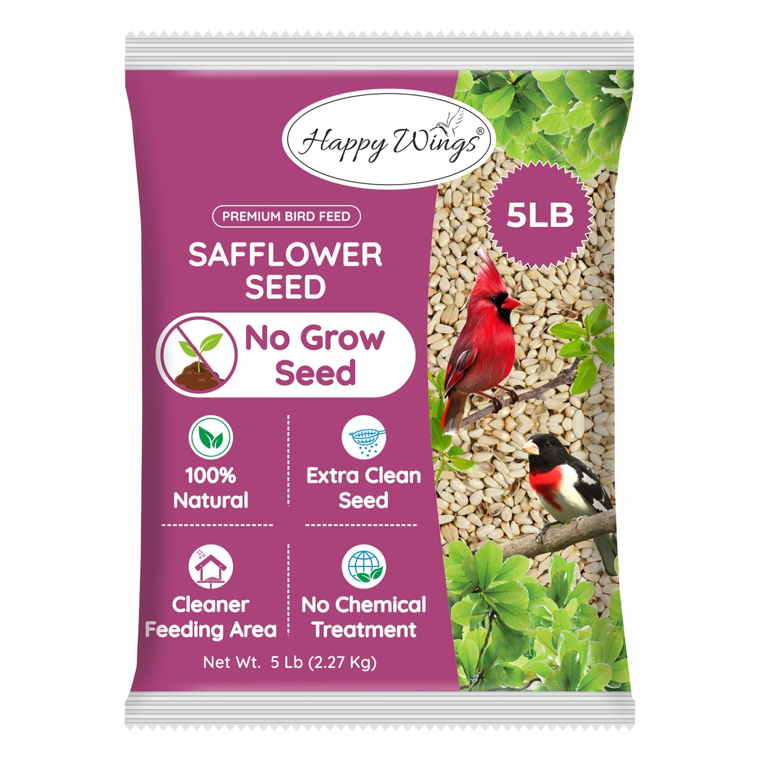 Can You Plant Safflower Bird Seed: Expert Tips for Thriving Growth