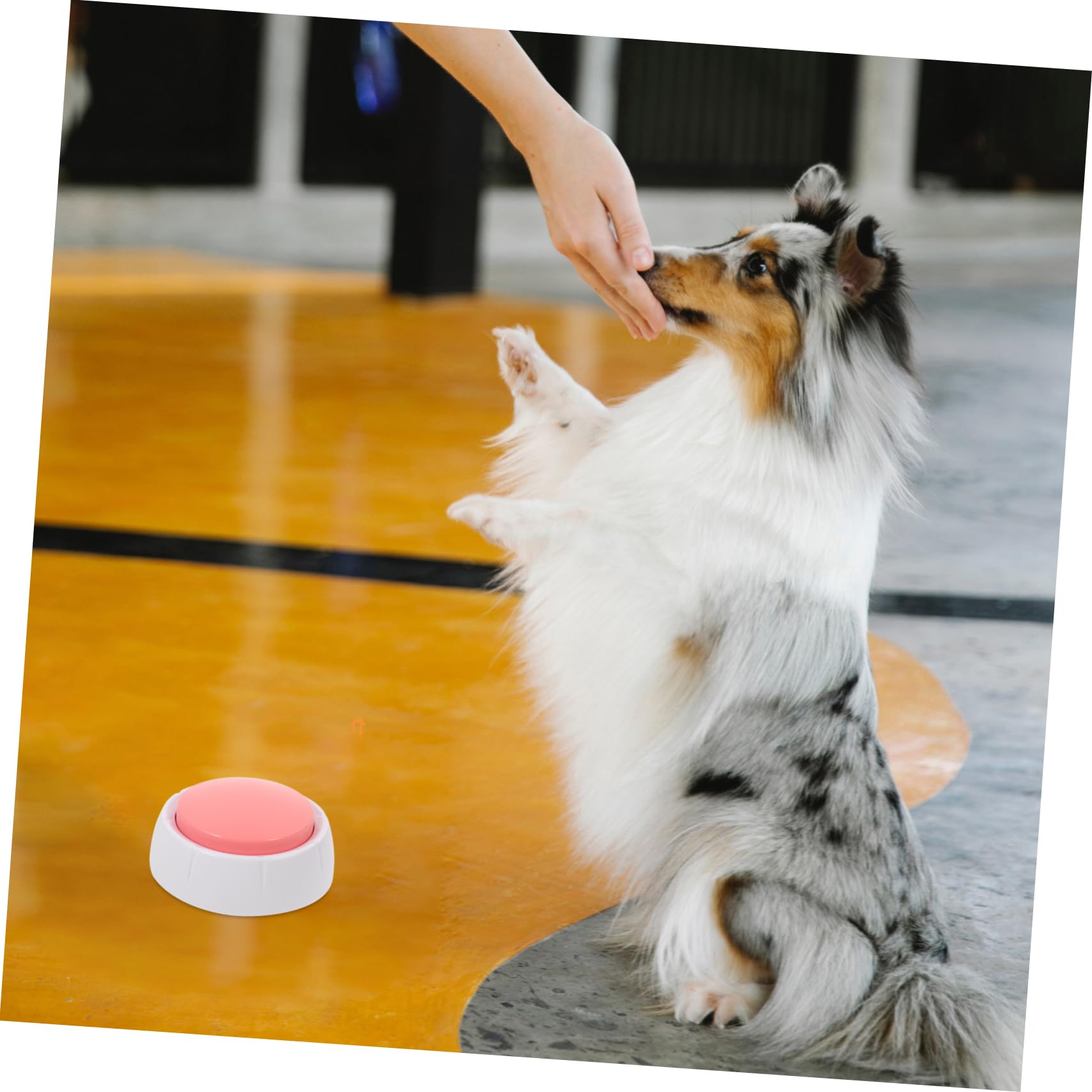 BESPORTBLE Pet Talking Buttons Dog Clicker Training Kit Dog Training Communication Recordable Button Toy