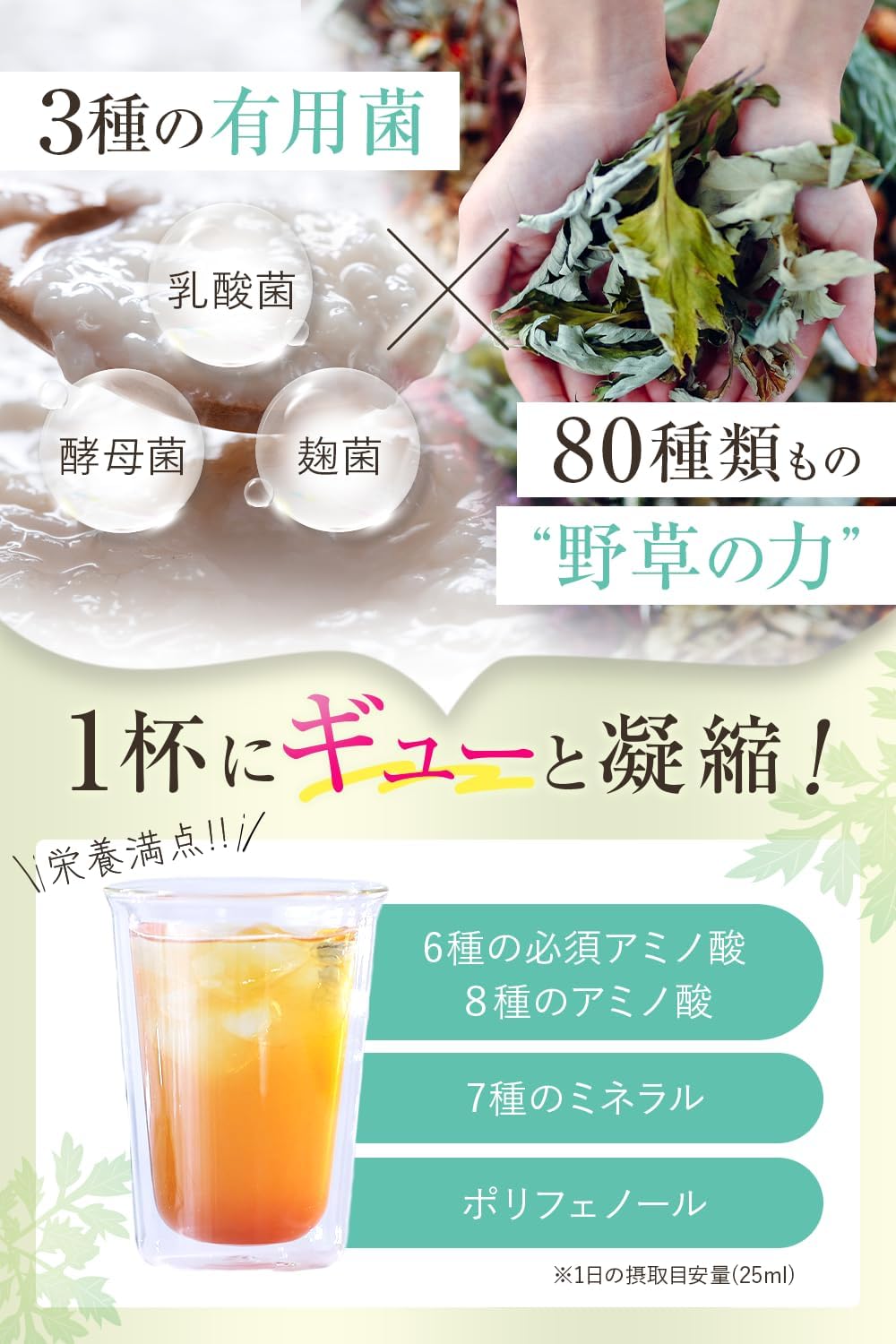 Amazon | 越後酵素蓬緑 酵素ドリンク パウチタイプ 25ml×14包 お試し