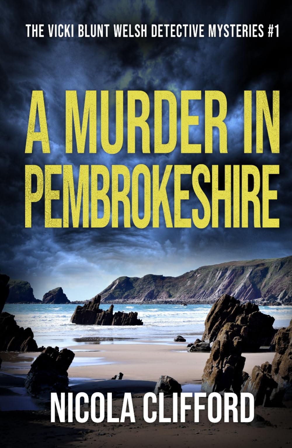 A Murder in Pembrokeshire (The Vicki Blunt Welsh detective mysteries)
