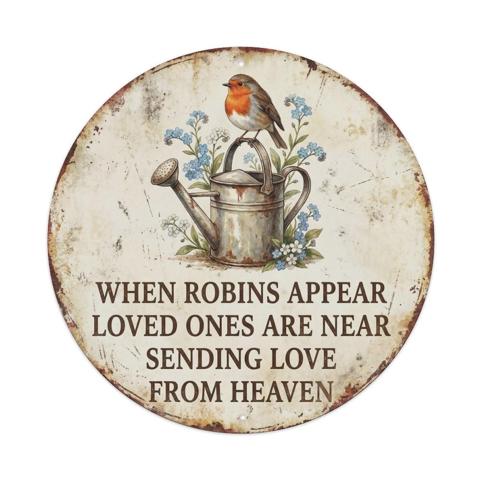Okahys 8X8inch(20X20cm) Robin Bird Garden Quote Heaven Metal Tin Sign