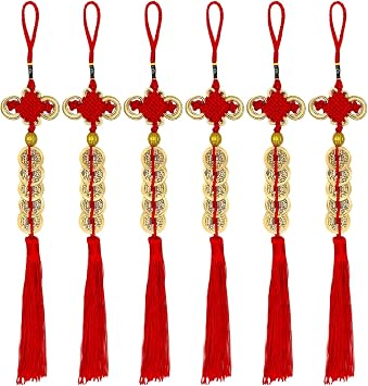 6 Pieces Chinese Lucky Coins Tassel, Traditional Feng Shui Coins with Red String, Chinese New Year Decorations for Fortune Health Wealth Success Lucky Decor to Friends Families Lovers