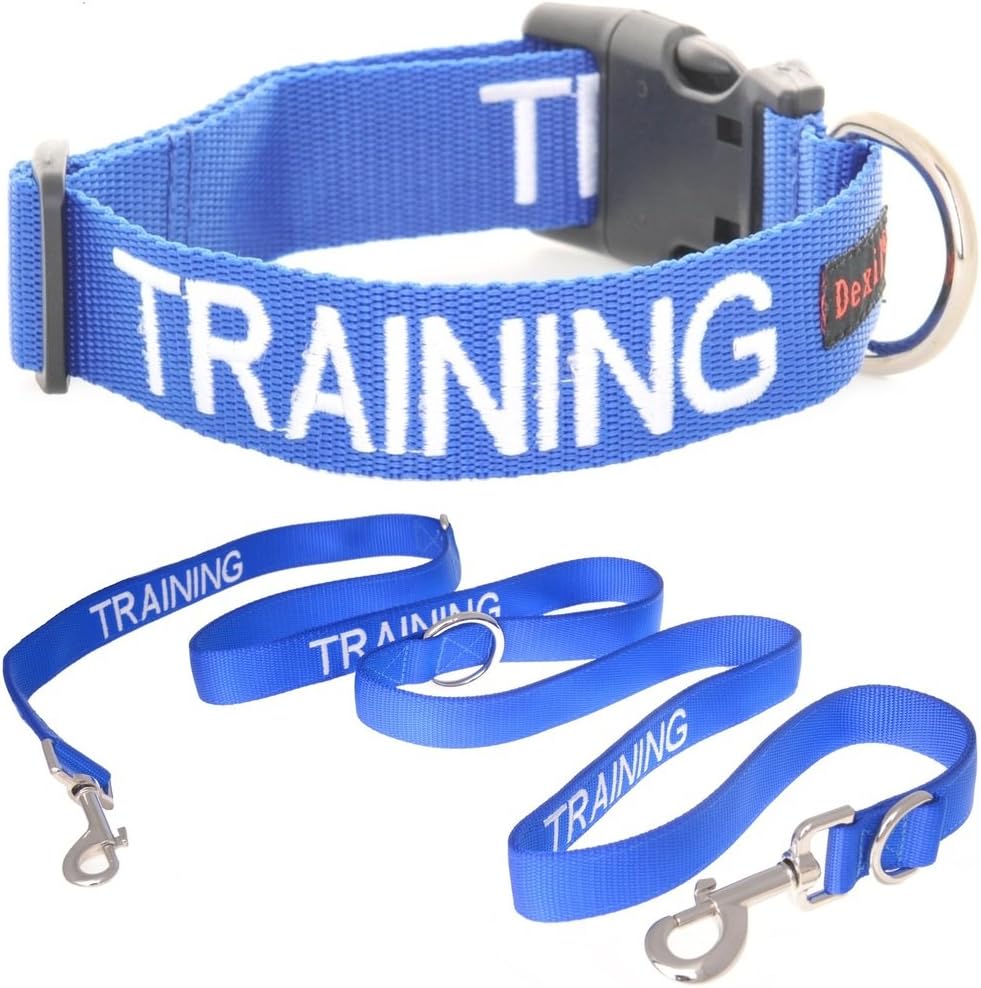 Dexil Entrenamiento (Perro en Entrenamiento/No Molestar) Collar para Perros SM L-XL con código de Color Azul y Juegos de Correas con Asas Acolchadas de Neopreno de Lujo Multiusos de 60 cm, 1,2 m,
