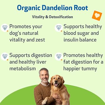 Pet Wellbeing Dandelion Root for Dogs - Liver & Digestive Health, 4 oz