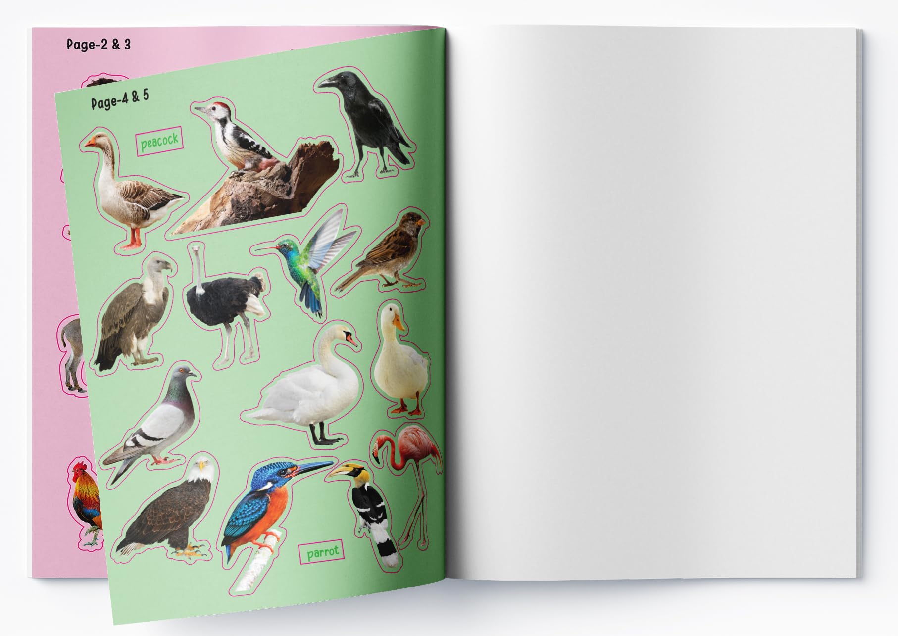 My First 100 Animals Stickers 4