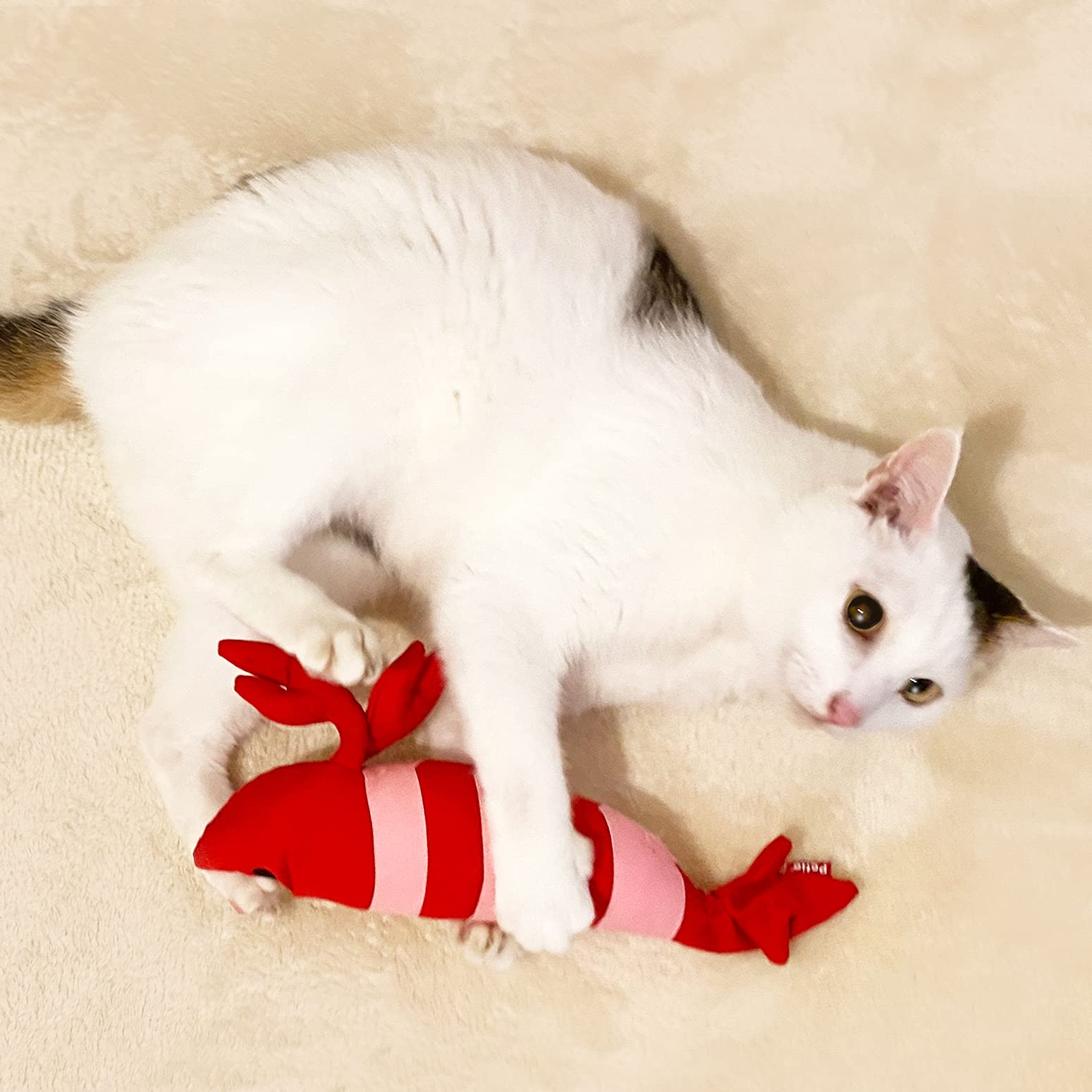 ペティオ　ビッグけりぐるみ　エビ　当選品　猫用おもちゃ　抱き枕　ぬいぐるみ 000000006053-01-l.jpg?t=