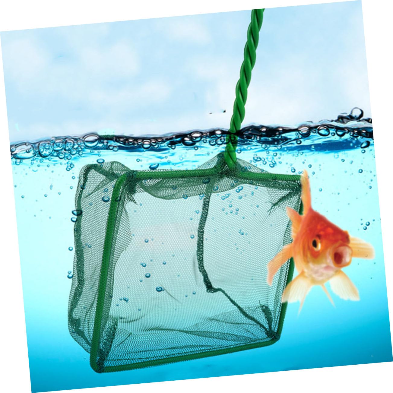 Toyvian Accessorio Da Pesca Per Acquario Pesci Acquario Rete Da Pesca Rete Da Pesca Con Bilancia Per Retini Rete Da Pesca Per Acquario Rete Da Pesca Accessori Per Acquario Rete Da
