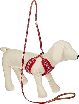 Amazon | リードッグ 首輪 Bチェックフロントハーネスリード