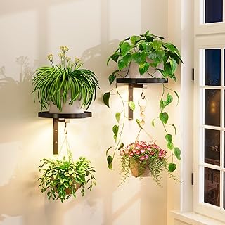 iDavosic.ly Wall Plant Holder with Grow Lights Set of 2 for Indoor Outdoor, Metal Hanger with 2 Hooks, Floating Flower Display Stand for Window, Space Saving & Easy to Assemble (Pots Not Included)