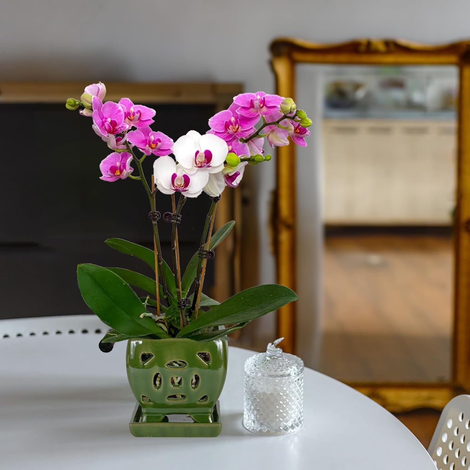 W&W Orchid Pot with Holes and Saucer for Repotting, Seagreen, 5.5"