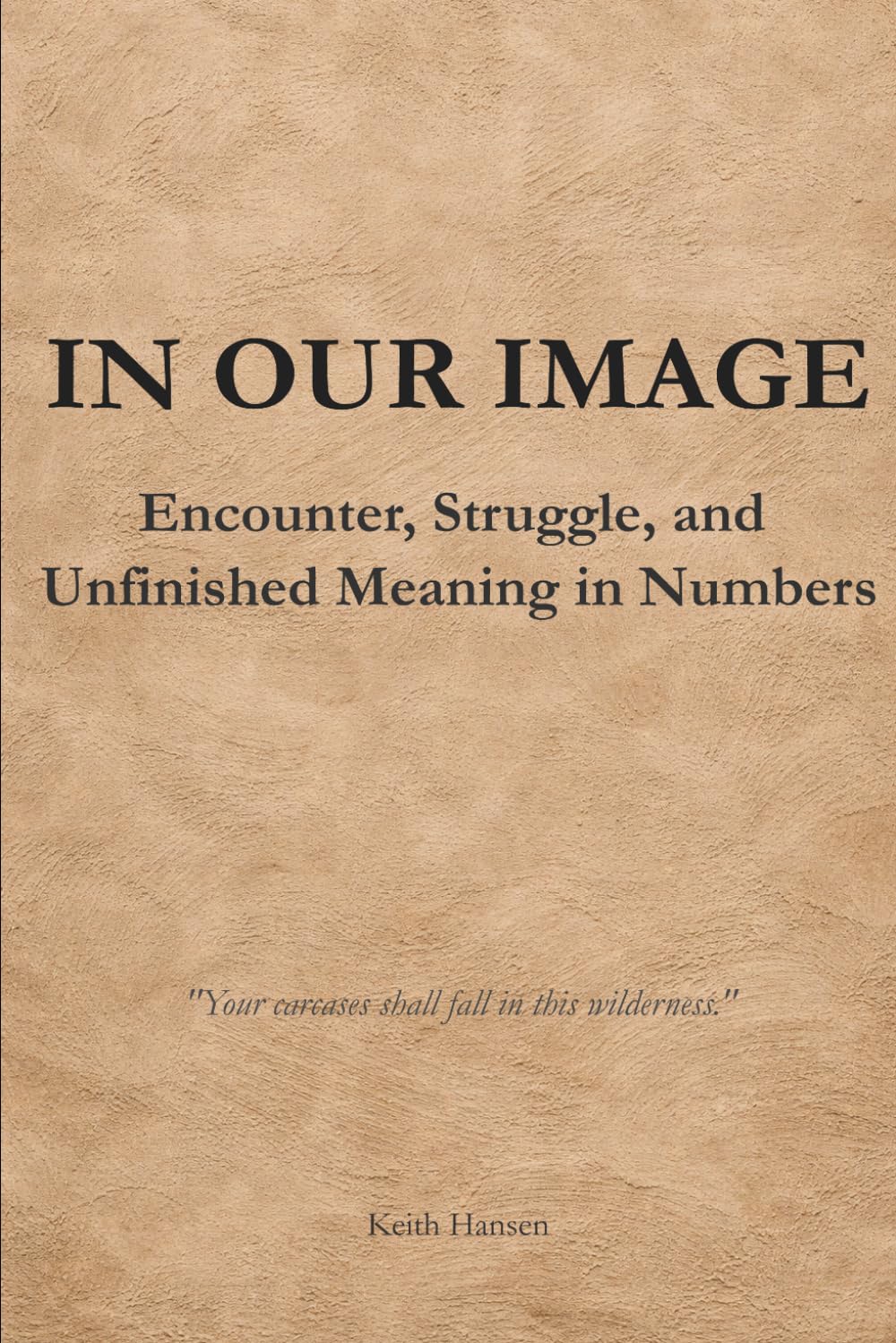 In Our Image: Encounter, Struggle, and Unfinished Meaning in Numbers