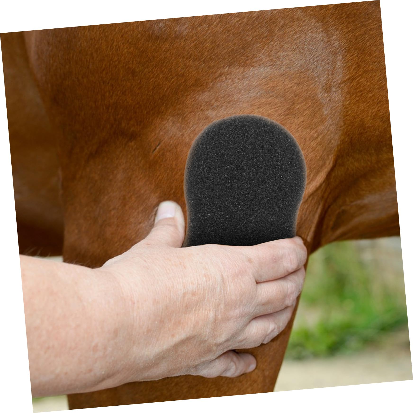 SUPVOX Set 5 Spugne per Pulizia del Corpo Equino, Accessori per Bagno Equini, Salviette in Spugna Morbida per Toelettatura e Cura degli Equini