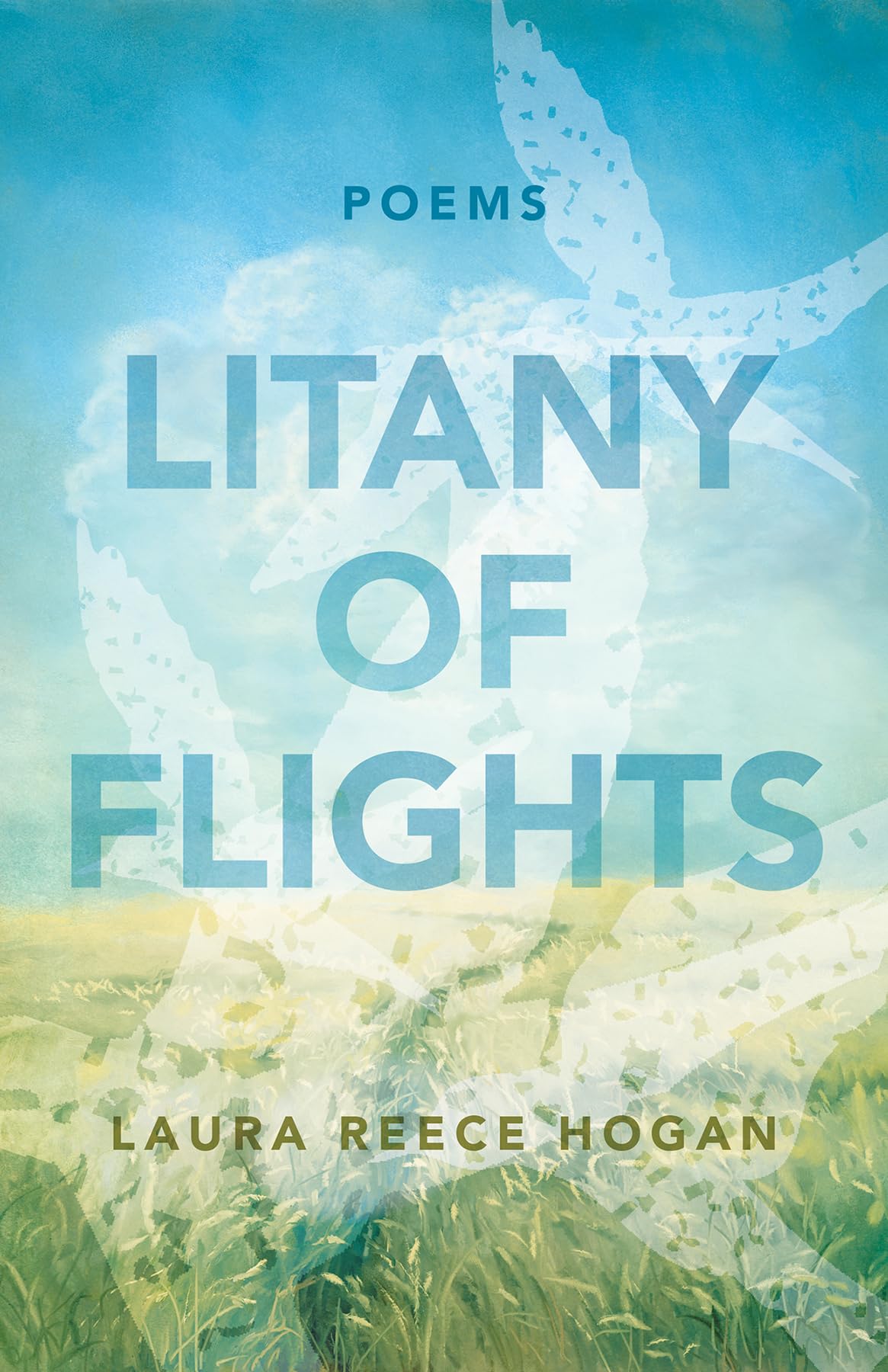 Buy Litany of Flights: Poems (Paraclete Poetry) — BookShops.in
