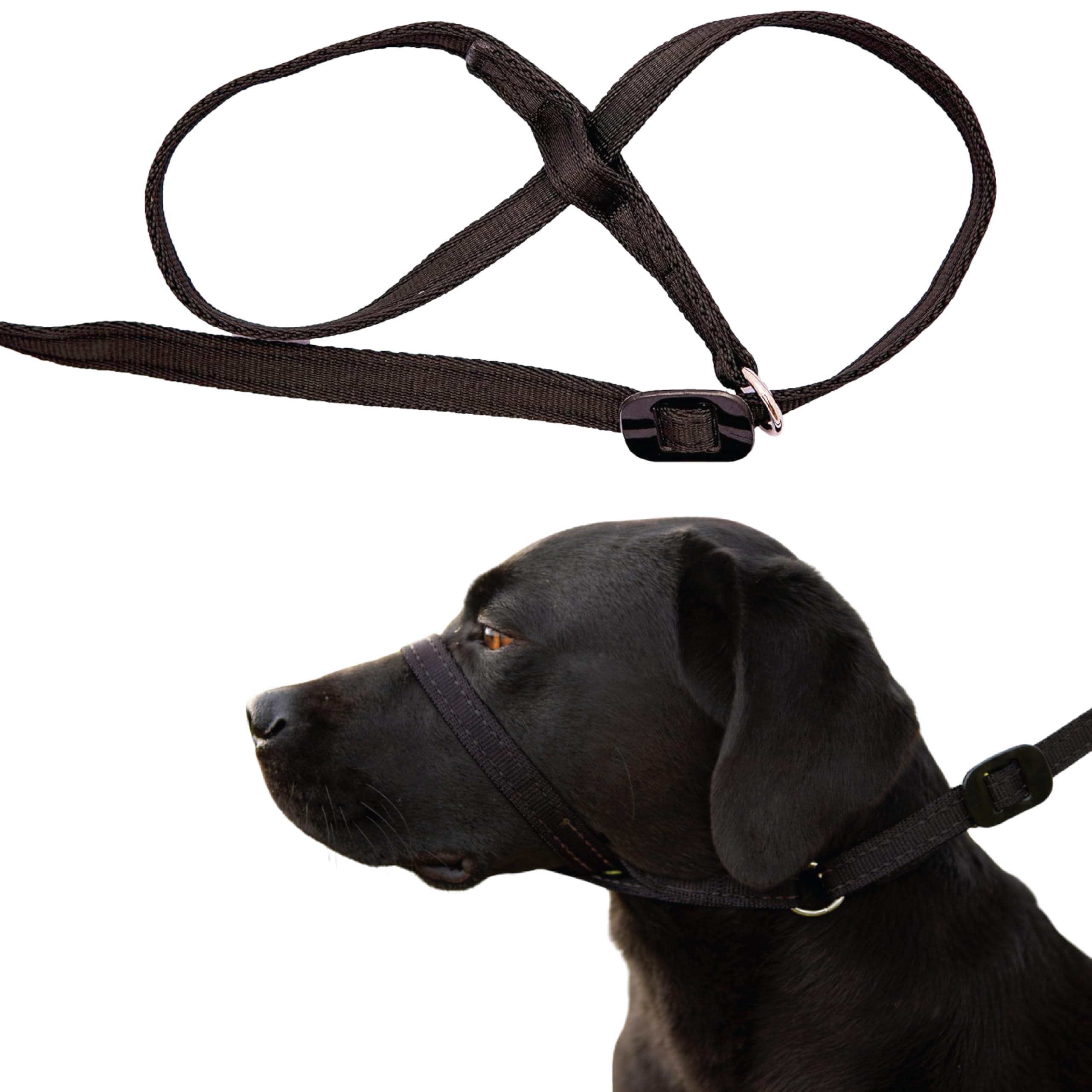 Gencon Headcollar Left