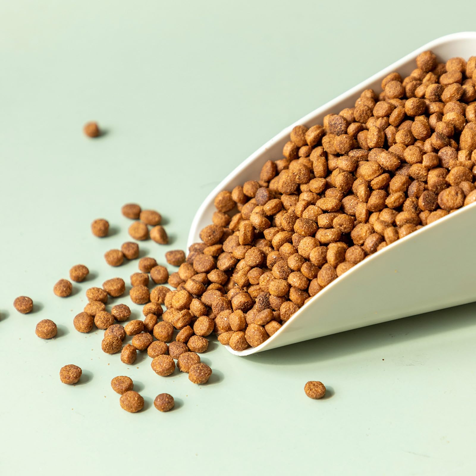 Pelle à Nourriture Pour Animaux De Compagnie, Cuillère Multi-Usage