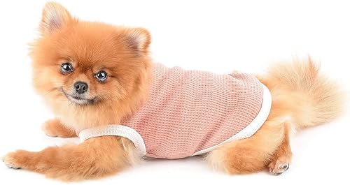 Miniatura 4 de SMALLLEE_LUCKY_STORE Linda camiseta de punto gofre con oso para cachorros, para perros pequeños y medianos, gatos, niños y niñas, camiseta elástica