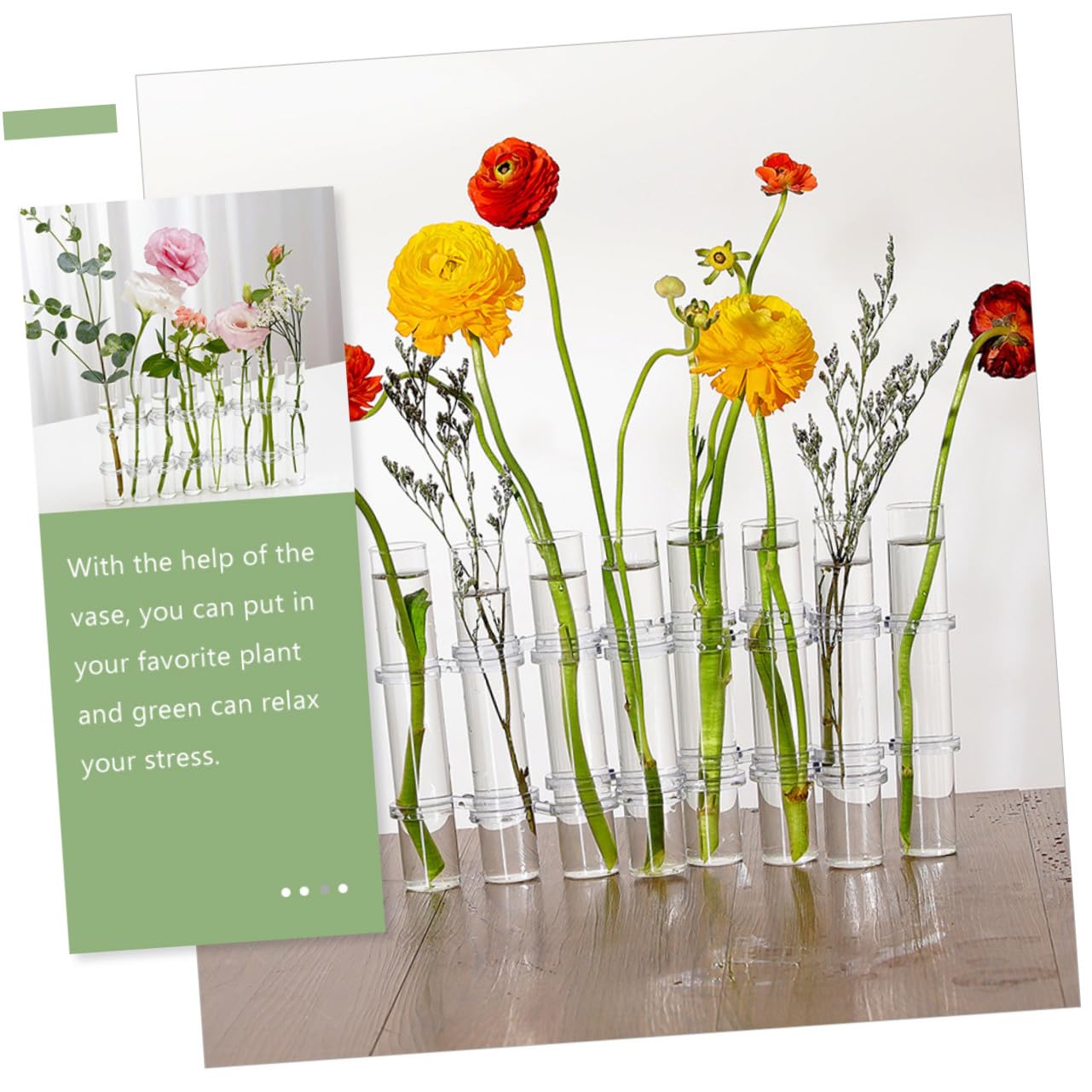 STOBAZA Vase Verre Transparent Grand Format pour Propagation de Plantes Hydroponiques Brosse Support de Décoration Intérieure pour Jardin Mural et Bureau