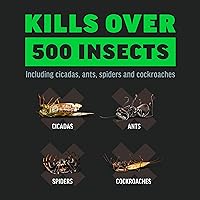 Vista 9 de Amdro 100550457 Mata insectos para exteriores de matanza rápida, 32 oz