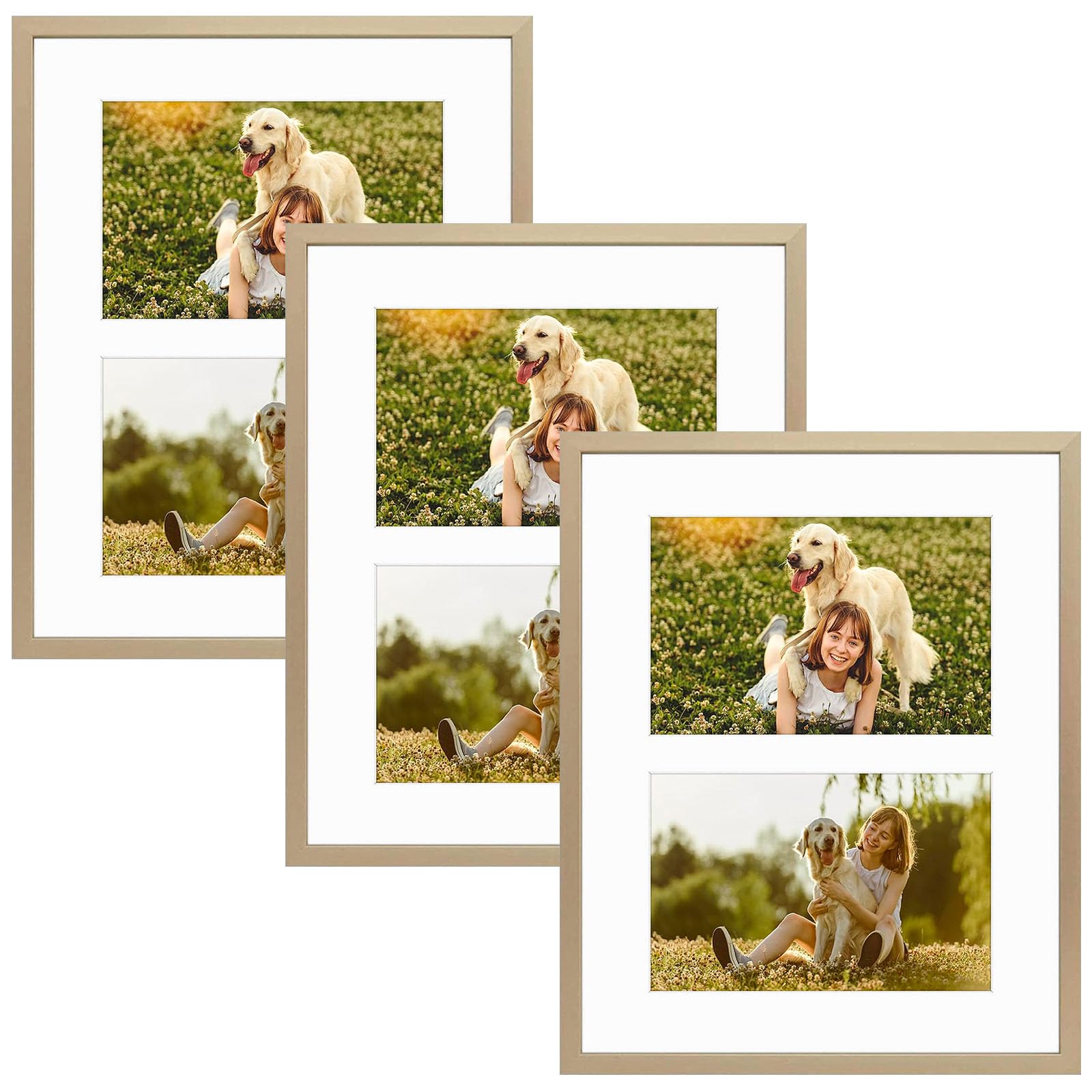 Golden State Art, 4x6 Aluminum Collage Frame, Displays 6x4 Pictures With 2 Openings Mat or One 8x10 Photo, Real Glass, Portrait/Landscape Wall/Tabletop Display, Gold, 3 Pack