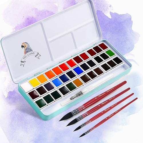 MeiLiang - Juego de pintura de acuarela, 36 colores vivos en caja de bolsillo, juego de pinceles de acuarela, kit de pinceles de pintura para