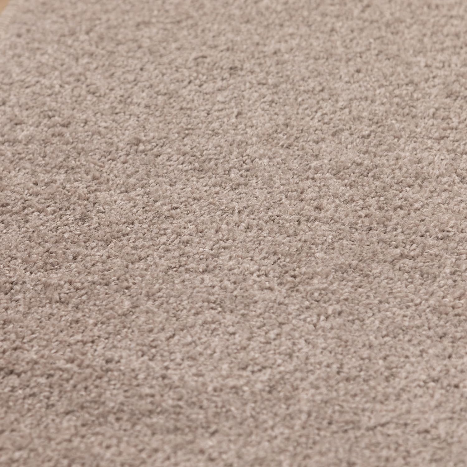 SIMPEX Teppich 280x370 cm Beige, Kurzflor, Einfarbig, Modern, Rechteckig, Pflegeleicht, rutschfest, XXL Bodenteppich für Wohnzimmer, Schlafzimmer, Essbereich