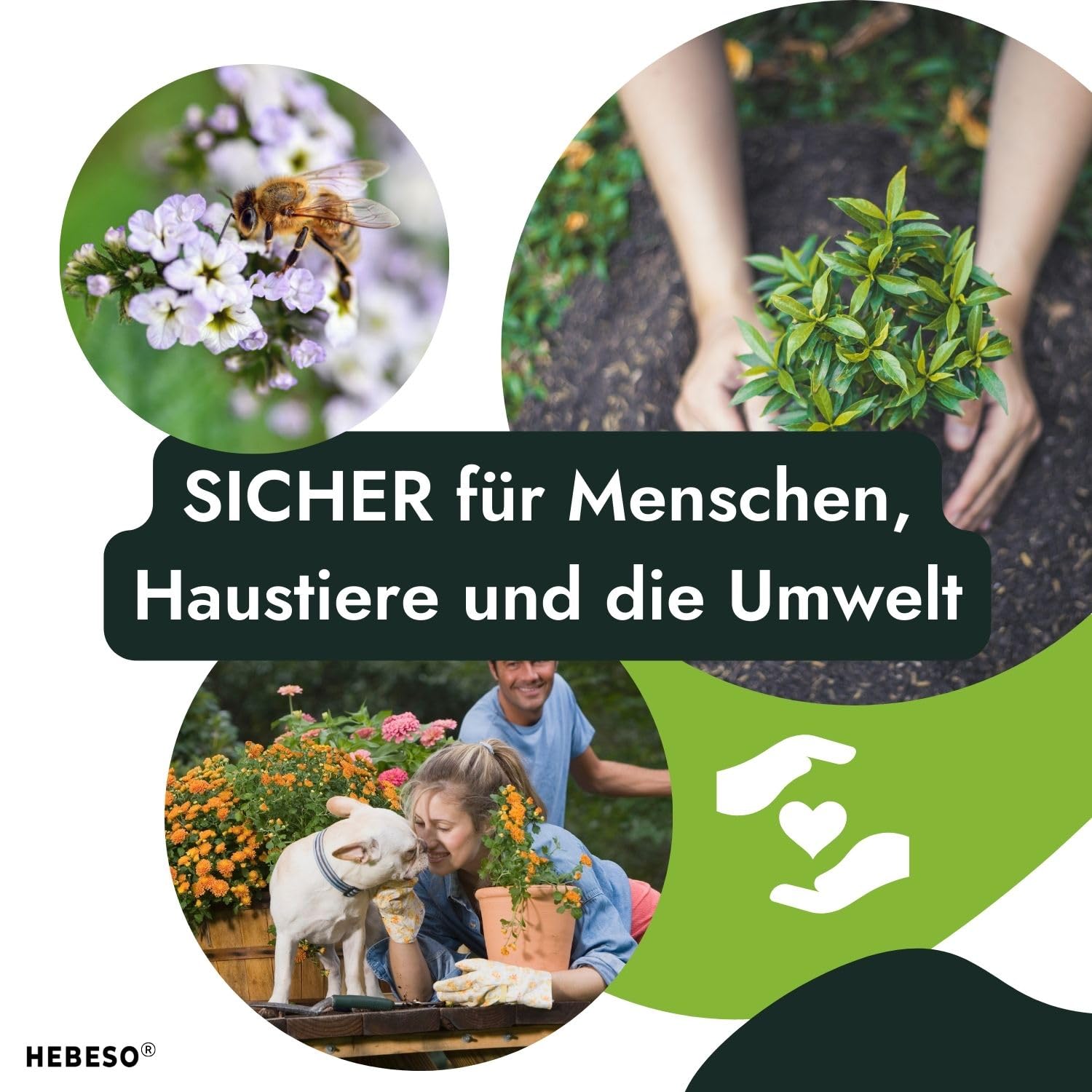 HEBESO® NEEMSIS Organiches Neemöl mit natürlichem Emulgator - Gebrauchsfertig - Kaltgepresst. 100% natürlich. Sicher für die Umwelt. (2x250ml)